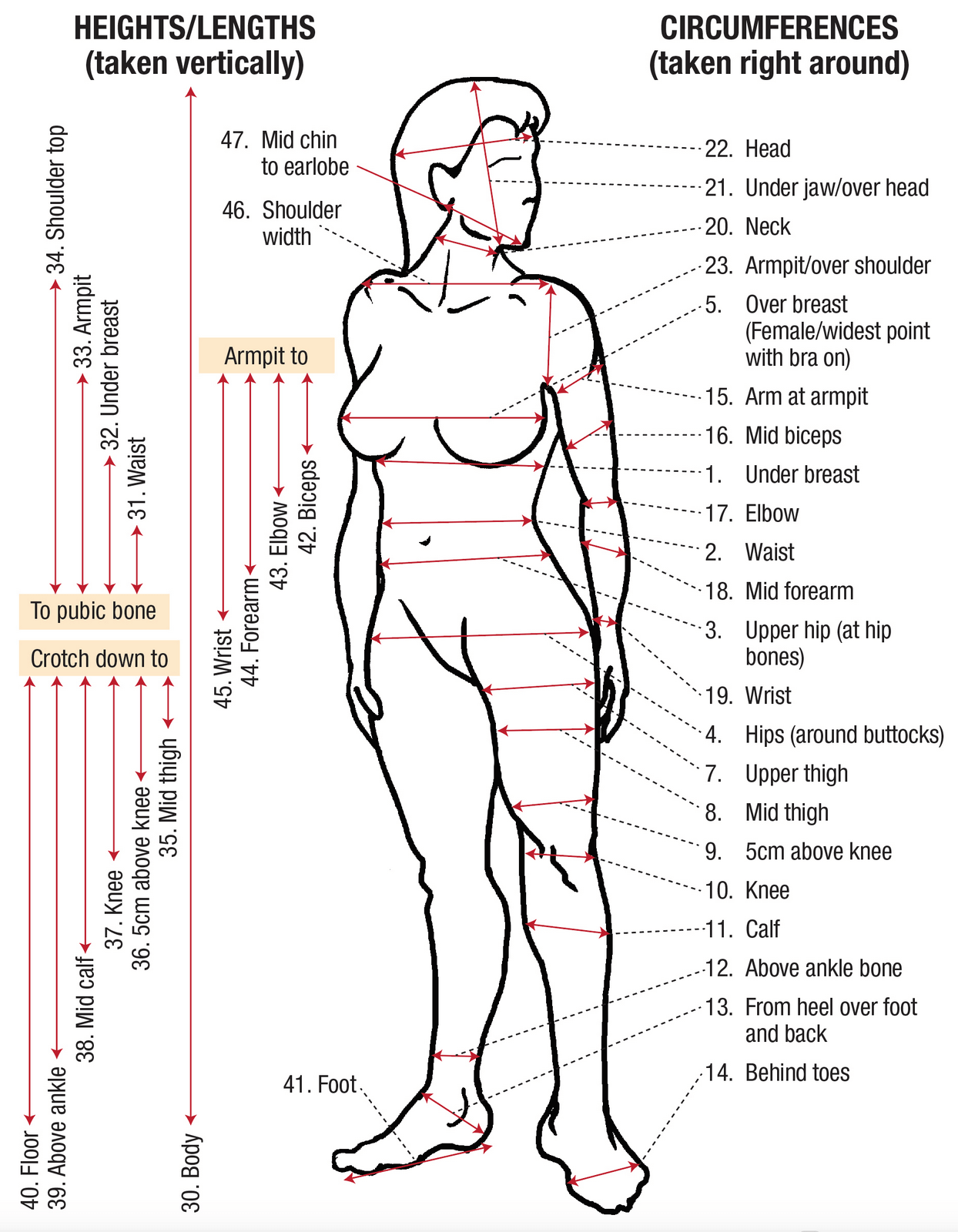 Chest Height measurement  Download Scientific Diagram